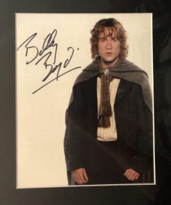 Billy Boyd