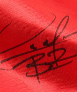 Alternative view of Deontay Wilder