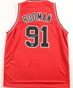 Alternative view of Dennis Rodman