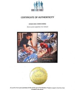 Alternative view of Tom Holland