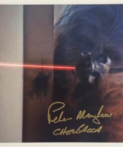 Peter Mayhew